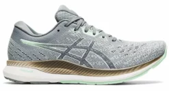 Asics Women's Evoride