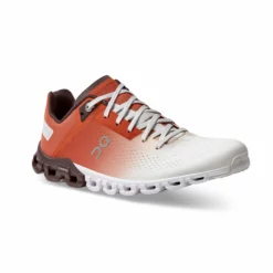 On Running Women's Cloudflow - Rust/White (35.99232) -Asics Shop cloudflow fw21 rust white w g6 scaled